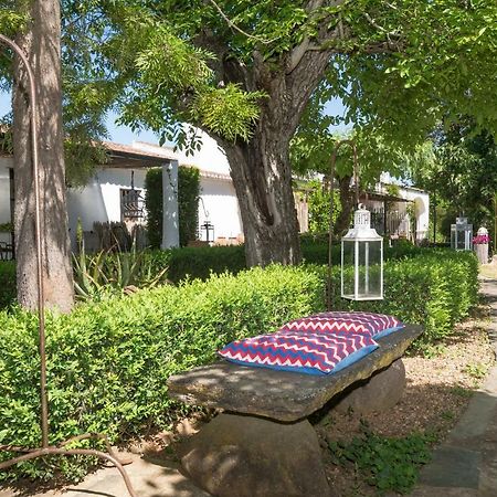Monte Da Fornalha Bed & Breakfast Борба Екстериор снимка